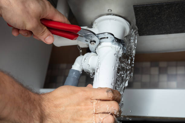 Best Flooded house restoration  in Franklin, LA