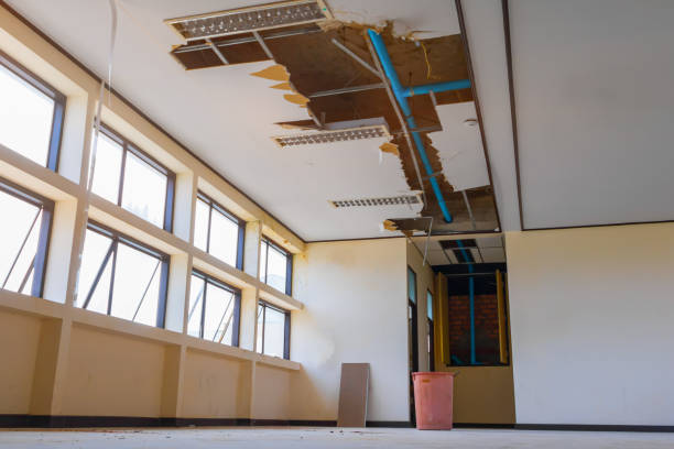 Best Residential water damage restoration  in Franklin, LA