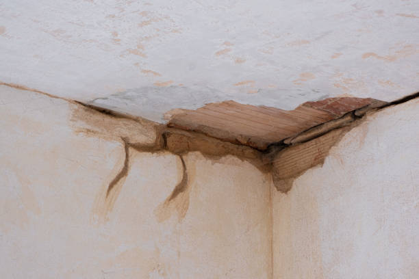 Best Water damage restoration near me  in Franklin, LA