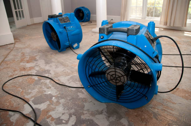 Best Carpet water damage restoration  in Franklin, LA