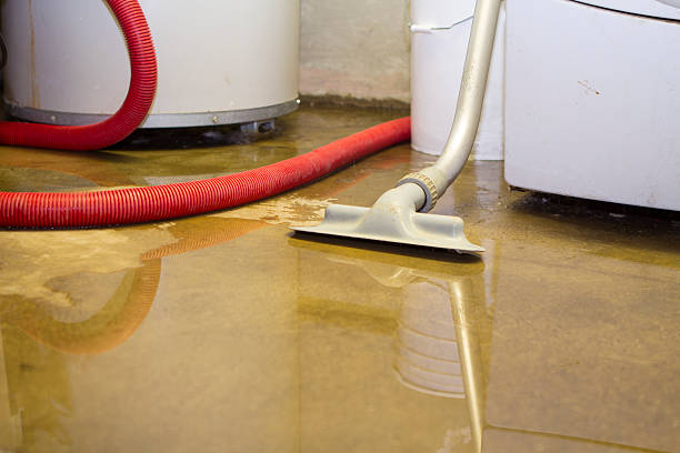 Best 24-hour water damage restoration  in Franklin, LA