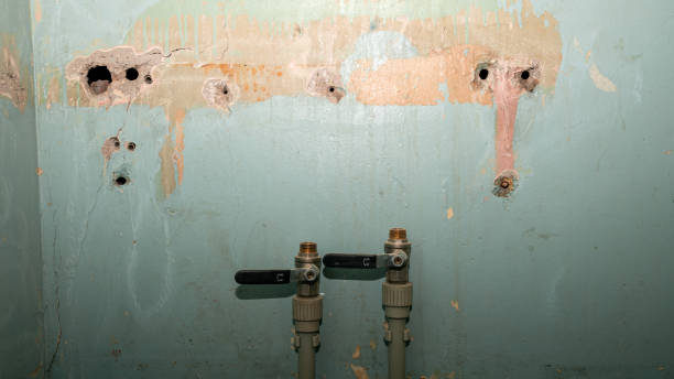 Best Emergency water extraction  in Franklin, LA