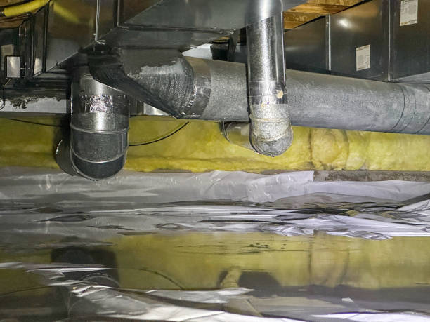 Best Water damage restoration near me  in Franklin, LA