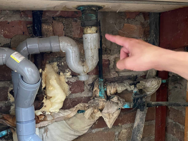 Best Local water damage restoration  in Franklin, LA