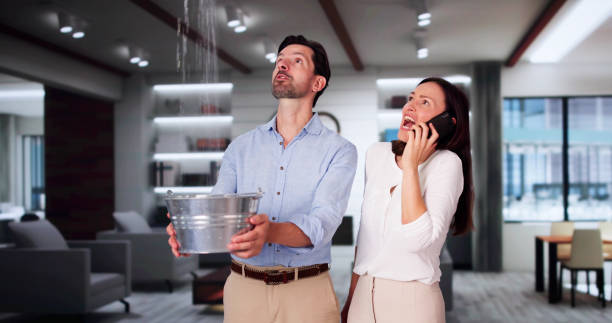 Best Flood restoration services  in Franklin, LA