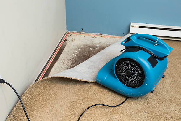 Best Flood damage cleanup  in Franklin, LA
